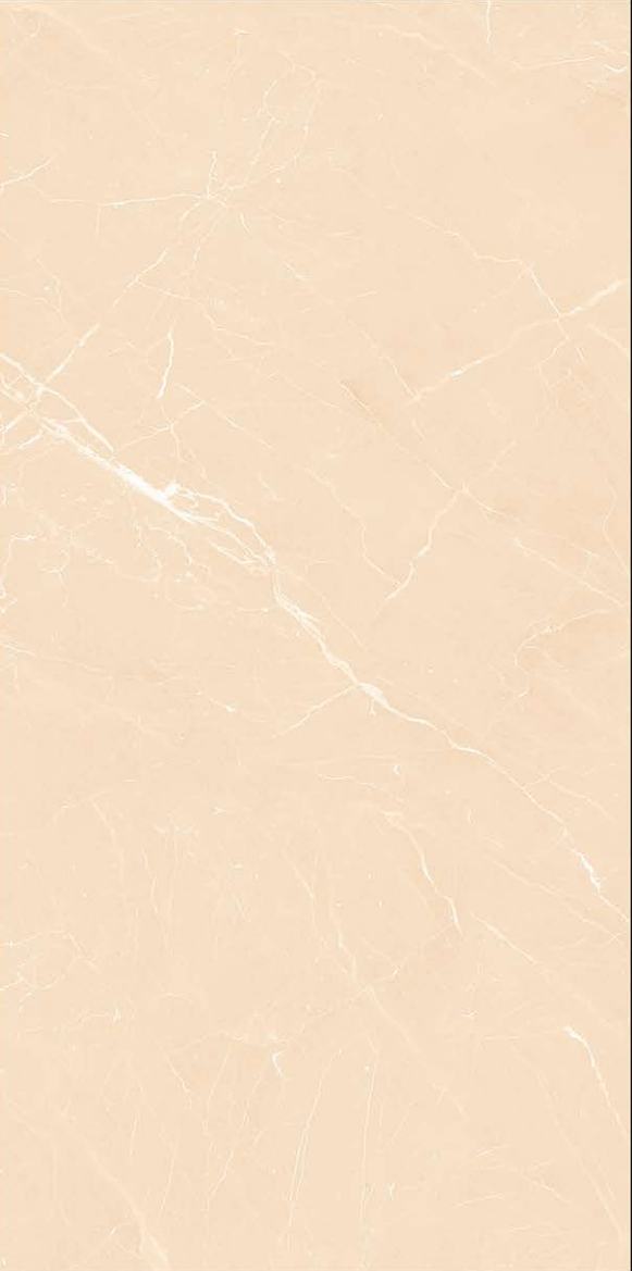 Sugar  PGVT 600x1200 mm